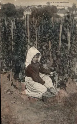 बुर्गुंडी में फल एकत्रित करना — एक फल एकत्रित करने वाली — बी. एफ. चालॉन-स-सॉन