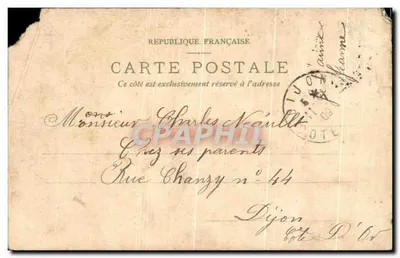 Gatos dançando — Ilustração — Reprodução de carta postal francesa — Verso