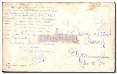Cachorro - Um pequeno cachorro com uma borboleta? — Editor S+S Import, n° 1159 — Verso