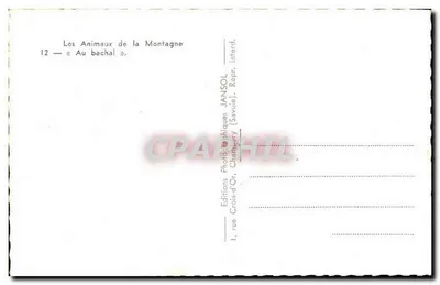Vaca — No bachel — Jansol, Chambery — Verso