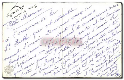 Kotek w koszyku — kwiaty — Wydawnictwo Univers, nr 462 — Rewers