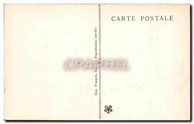 Grotte di BETHARRAM — Colonne in formazione — I Pirenei — Verso