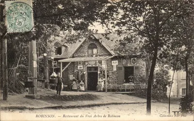 Robinson — Restaurante do Verdadeiro Arvore de Robinson — Coleções ND Phot