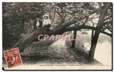 Ville d'Avray — Os Etangs — A Árvore deitada — Edição Paris