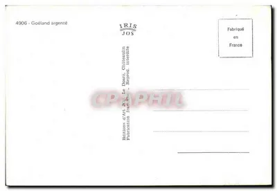 Srebrny mewa — Wydawnictwo Sztuki JOS, n°4906 — Rewers