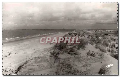 Praia e dunas — vista da costa — Edições Gaby