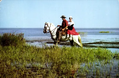 Caminhada a cavalo — Aigues-Mortes, Camargue — Éditions de Provence G.A.L. n°3051