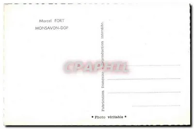 Marcel Fort — Studio Vallons — Marcel Fort Monsavon-DOP — Verso