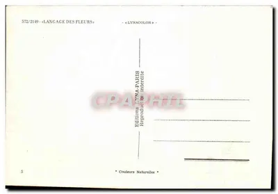 Język Kwiatów — Wydawnictwo Dyna-Paris nr 572/2149 — Rewers