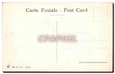 Gênova - S. Matteo - Interno — editor B. & C. Zürich, n° 236 — Verso