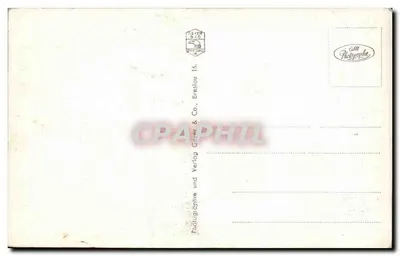 Bolkenhain, Bolkoburg — widok zamek z lasowej drogi — seria 10987 — Rewers