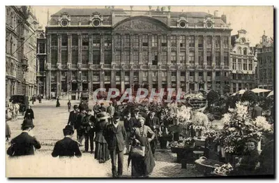 Grand'Place em Bruxelas — feira de flores — editor anônimo