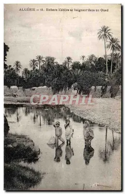Argélia — Crianças kabyles nadando em um oued — Bilhete postal moderno n°11