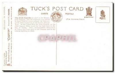 As Guardas Irlandesas com seu cão regimental, Bunion Bons — caminhando no parque — Tuck & Sons, n° 3549 — Verso