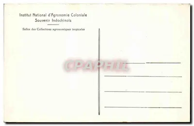 Sala das Coleções Agrícolas Tropicais — Instituto Nacional de Agronomia Colonial — Lembrança da Indochina — Verso