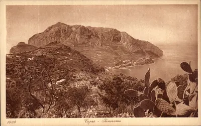 Capri - Panorama — vista panorâmica da ilha com cactos em primeiro plano — editor L. & L., n° de série 1039