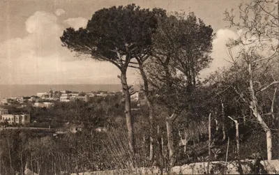Campagna di Anacapri — Capri — Foto A.G.C.