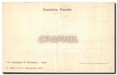 Campagna di Anacapri — Capri — Foto A.G.C. — Verso