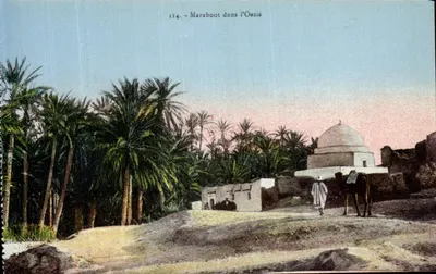 Marabout na Oasis — n° 114