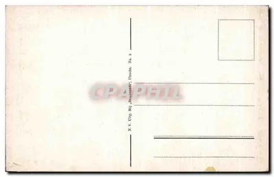Campos de narcisos — paisagem floral com flores amarelas e brancas — N.V. Uitg. Mij. 'Beauvrandt', Utrecht, No. 3 — Verso