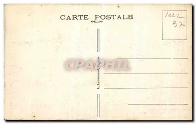 Amboise — Il Castello visto dall'aereo — La Loira — I Grandi Castelli dei Confini della Loira — Riproduzione a partire da una fotografia — Verso