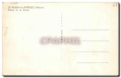 Étang de la Douai — Saint-Aubin-lès-Forges (Nièvre) — Cim — Reverso