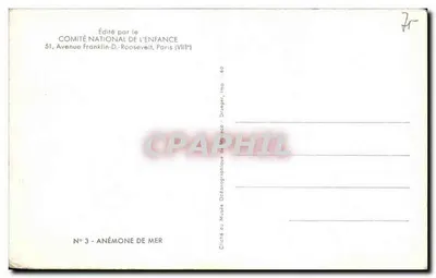 Anémona de mar — Clichê do Museu Oceanoográfico de Paris — Editado pelo Comitê Nacional da Criança, n°3 — Verso