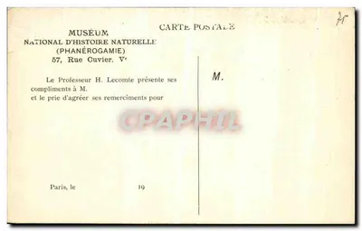 Antika kartpostal National Doğa Tarihi Müzesi Cuvier Caddesi Paris — Arka yüz