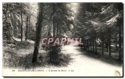 Bagnolles-de-l'Orne — Aleja Danie — LL
