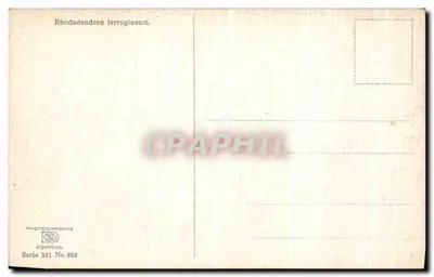 Rhododendron ferrugineum — Fotoquímica Alpentilors, série 531 n° 924 — Verso