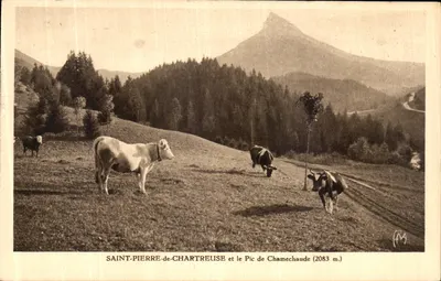 Saint-Pierre-de-Chartreuse et le Pic de Chamechaude (2083 m.) — vue de montagne avec vaches — éditeur Éditions Mariano Fiers