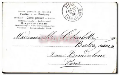 Fleurs jaunes — bouquet imprimé — éditeur SIECQ, n° 00316 — Verso