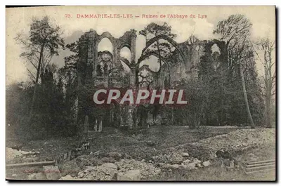 DAMMARIE-LES-LYS — Ruínas da Abadia do Lys — série 73
