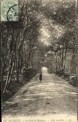 A Floresta de Montgeon — Avenida sob a Floresta — LL — LE HAVRE