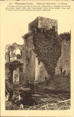 Tiffauges (Vendée) - Castelo de Barbe-Bleue - O Donjon