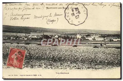 Martigny-les-Bains (Vosges) — Vista geral — imp. Ad. Wulich, Saint-Dié (Depositado) N° 5329