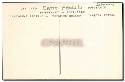 Podpórka ławek — Katedra w Amiens, pierwszy kwartał XVI wieku — ND Fot. — Rewers