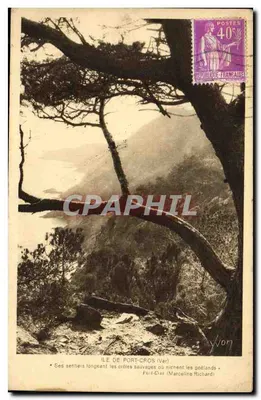 Ilha de Port-Cros (Var) — trilhas ao longo das cristas selvagens onde nidificam os gaviões — Marceline Richard