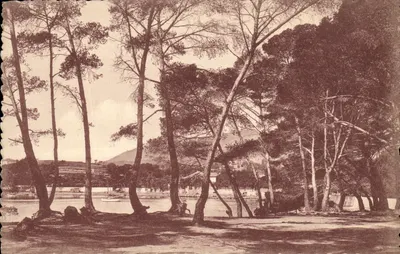 Les Salettes - Pointe de Carqueiranne — editor Asgoumery, n°37