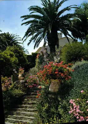 Jardim de Saint-Aygulf — Escada florida — Les Éditions d'Azur