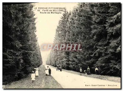 O Perche pitoresco — Floresta de Belleme, Estrada de Mortagne — Edit. Edet-Tertre - Bellême