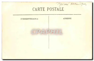 Biarritz — Wybrzeże Baszków — LL. — N°70 — Rewers