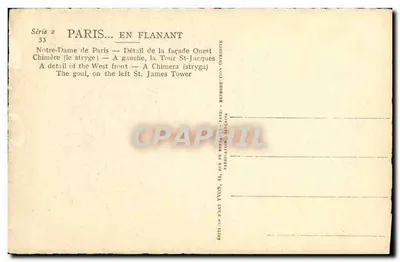 Notre-Dame w Paryżu — Szczegół fasady Zachodniej — Chimera (stryge) — Po lewej, Wieża Świętego Jakuba — Rewers