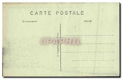 Loches (Loir-et-Cher) — Zamek Królewski — Drzewo kasztanowe posadzone przez Franciszka I — A.P. — Rewers