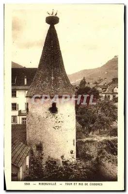 Ribeauvillé — Torre e ninho de coruja — Edição J. Bauch, Ribeauvillé