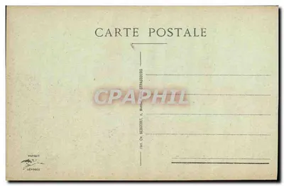 Strasbourg — Gniazdo srok na kominie — wydawca Bergeret, nr 601 — Rewers