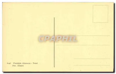 San Francesco benedice e fa tacere gli uccelli — Chiesa superiore - Assisi — Giotto — Verso