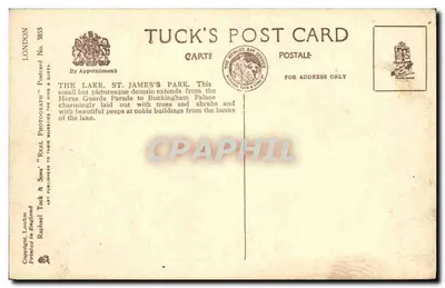 Jezioro St James's Park — Londyn — Tuck's Post Card No 3835 — Rewers