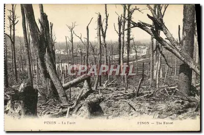 Pinon - A Floresta — Floresta destruída — B. Nong-ride e H. Lestang, Suíça