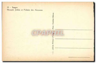 Bilhete postal antigo Tanger Mesquita Nova e Palmeira dos Aissaouas — Verso